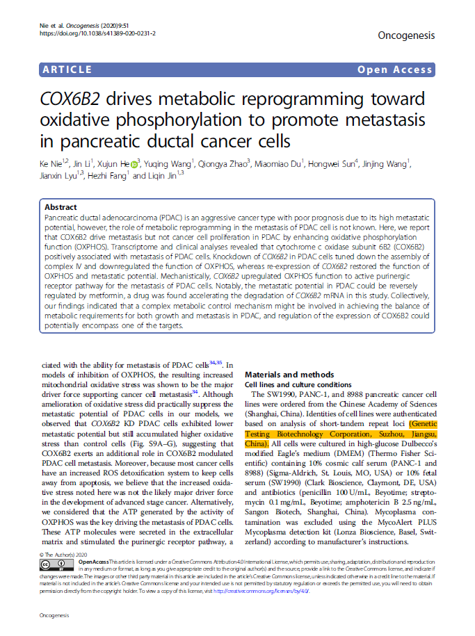 COX6B2 drives metabolic reprogramming toward oxidative phosphorylation to promote metastasis in pancreatic ductal cancer cells.png